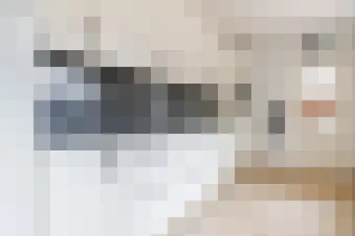Geerhof 8 Eersel thumbnail 12