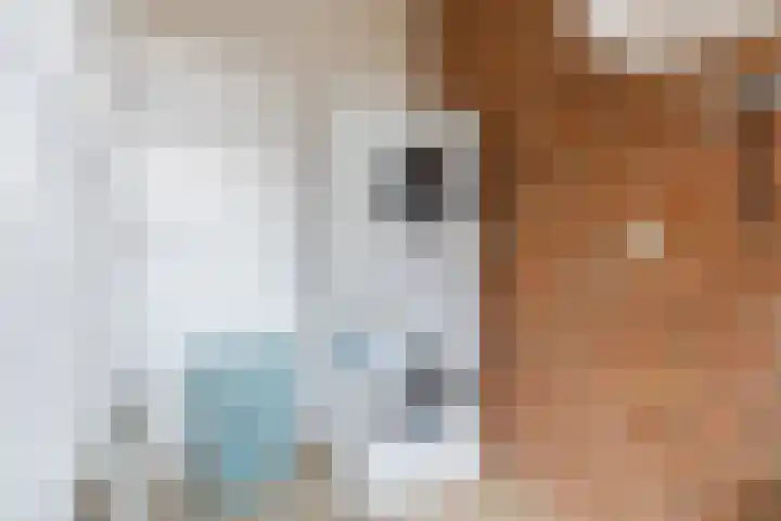 Geerhof 8 Eersel thumbnail 13