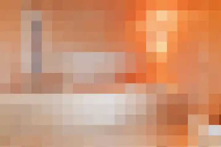 Geerhof 8 Eersel thumbnail 24