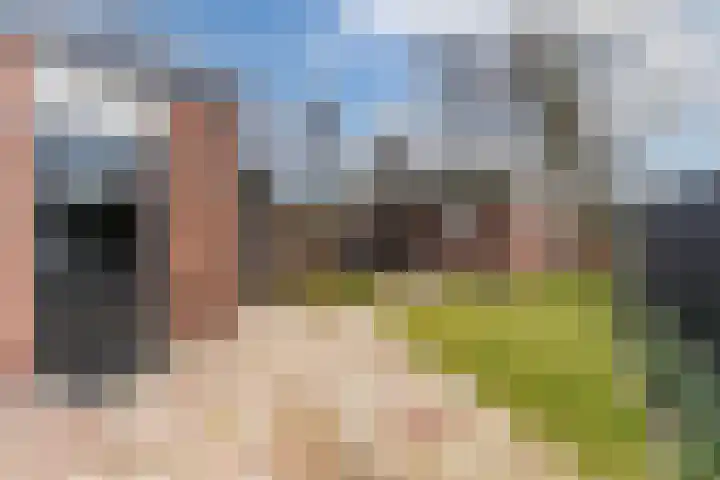 Geerhof 8 Eersel thumbnail 29