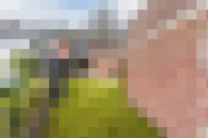 Geerhof 8 Eersel thumbnail 30