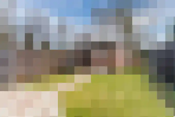 Geerhof 8 Eersel thumbnail 35