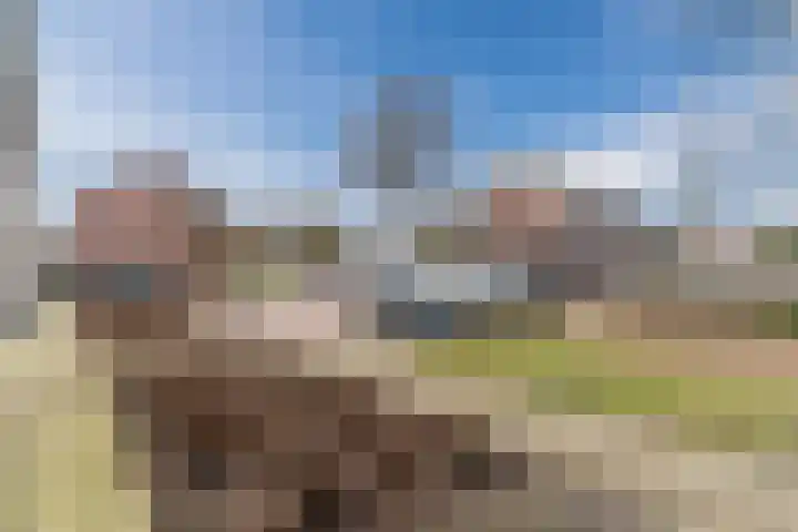 Geerhof 8 Eersel thumbnail 39