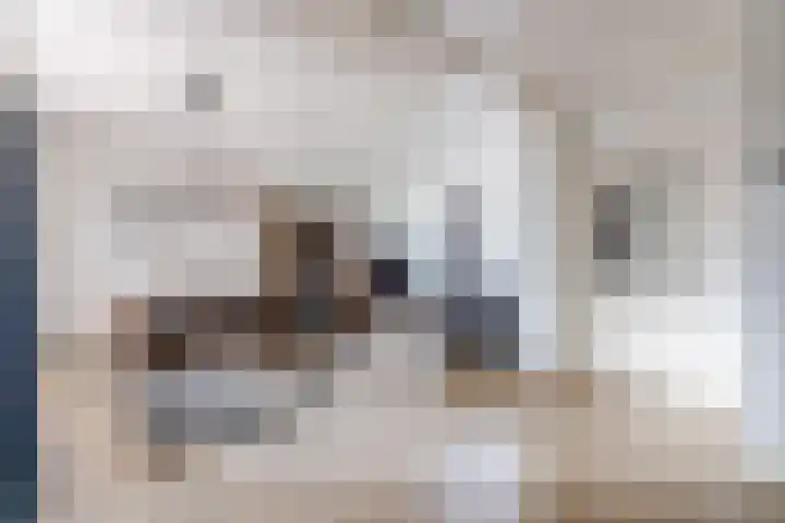 Geerhof 8 Eersel thumbnail 5