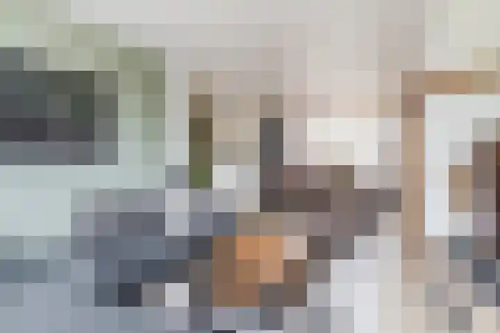 Geerhof 8 Eersel thumbnail 7