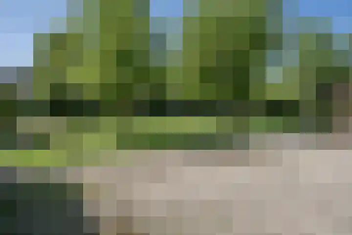 Geerhofstraat 1 Hurwenen thumbnail 11