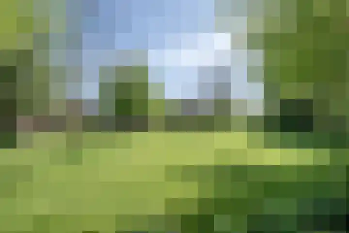 Geerhofstraat 1 Hurwenen thumbnail 12