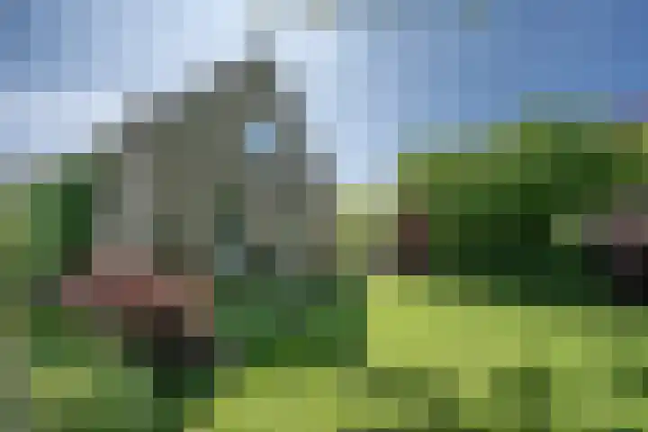 Geerhofstraat 1 Hurwenen thumbnail 13
