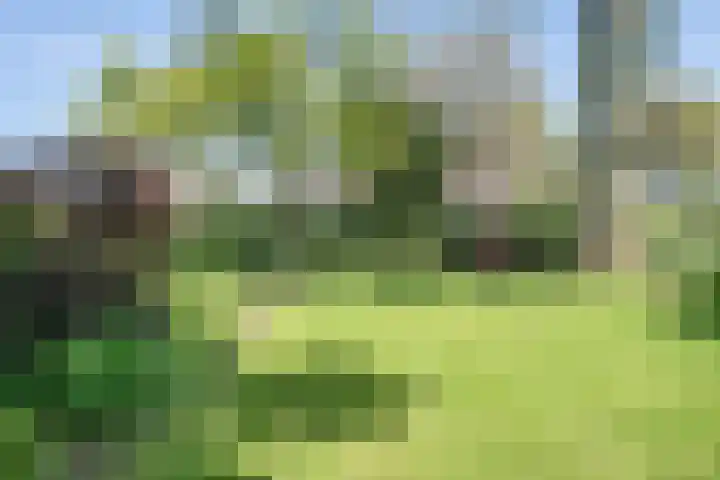 Geerhofstraat 1 Hurwenen thumbnail 14