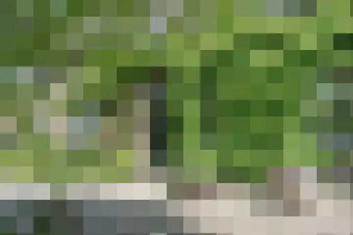 Geerhofstraat 1 Hurwenen thumbnail 16