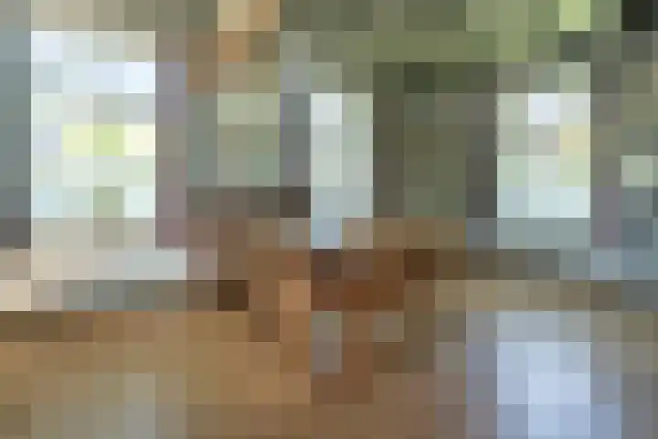 Geerhofstraat 1 Hurwenen thumbnail 18