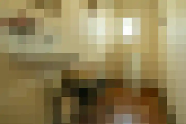 Geerhofstraat 1 Hurwenen thumbnail 28