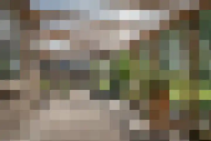 Geerhofstraat 1 Hurwenen thumbnail 38