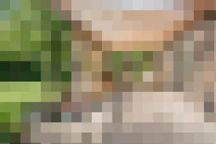Geerhofstraat 1 Hurwenen thumbnail 39
