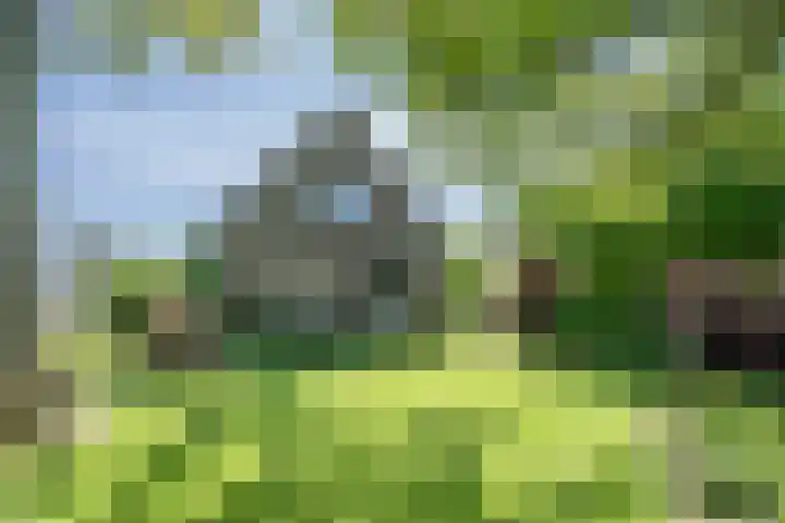 Geerhofstraat 1 Hurwenen thumbnail 4