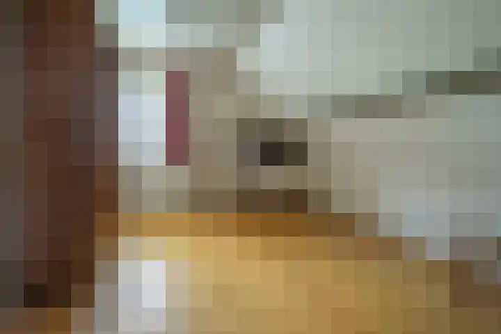 Geerhofstraat 1 Hurwenen thumbnail 43