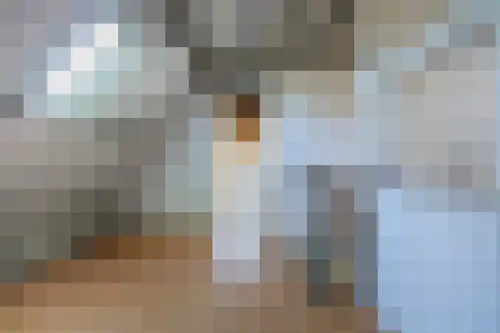 Geerhofstraat 1 Hurwenen thumbnail 45