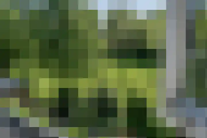 Geerhofstraat 1 Hurwenen thumbnail 48
