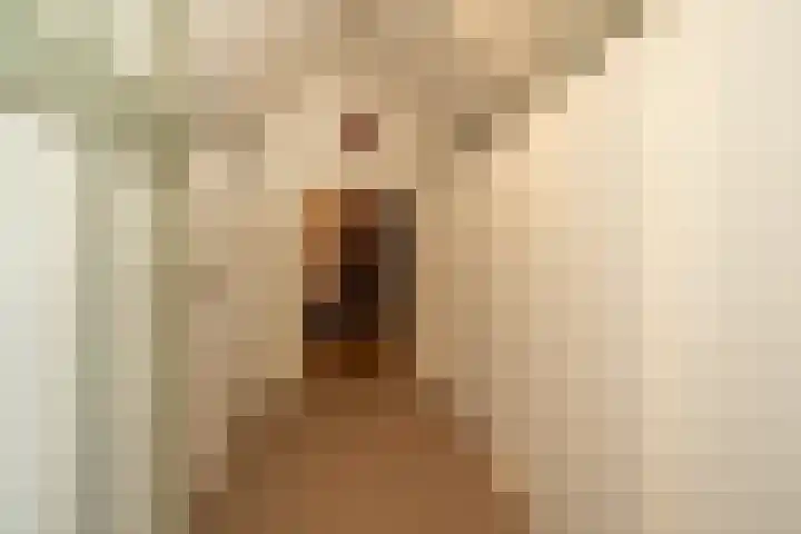 Geerhofstraat 1 Hurwenen thumbnail 50