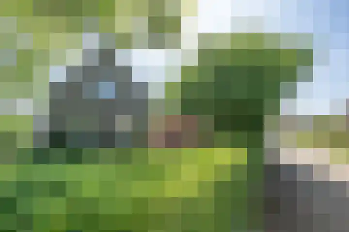 Geerhofstraat 1 Hurwenen thumbnail 6