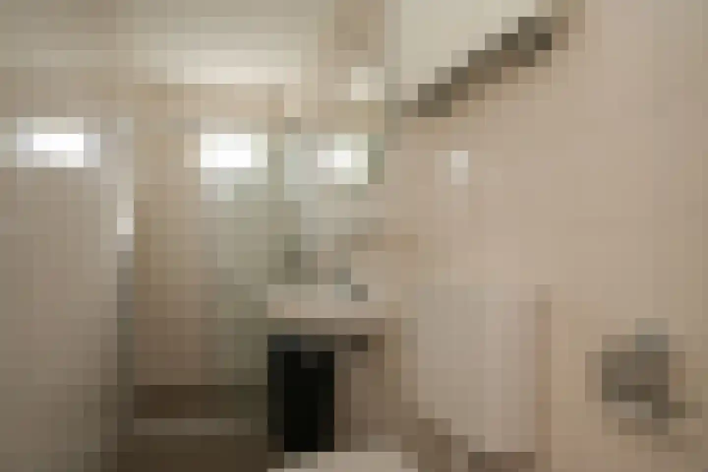 Geerhofstraat 13 Hurwenen thumbnail 17