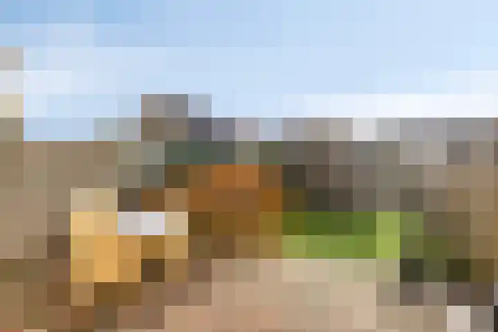 Geerhofstraat 37 Hurwenen thumbnail 24