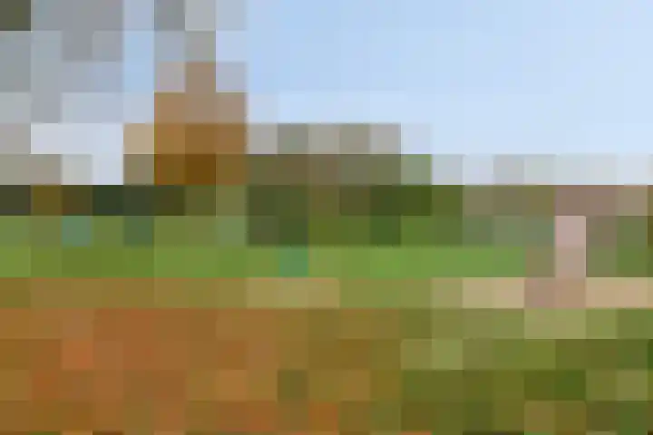 Geerhofstraat 37 Hurwenen thumbnail 26