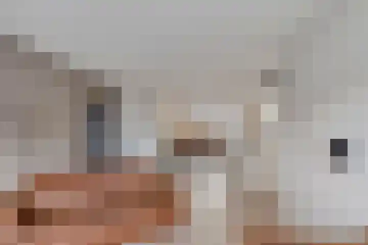 Geerhofstraat 37 Hurwenen thumbnail 5