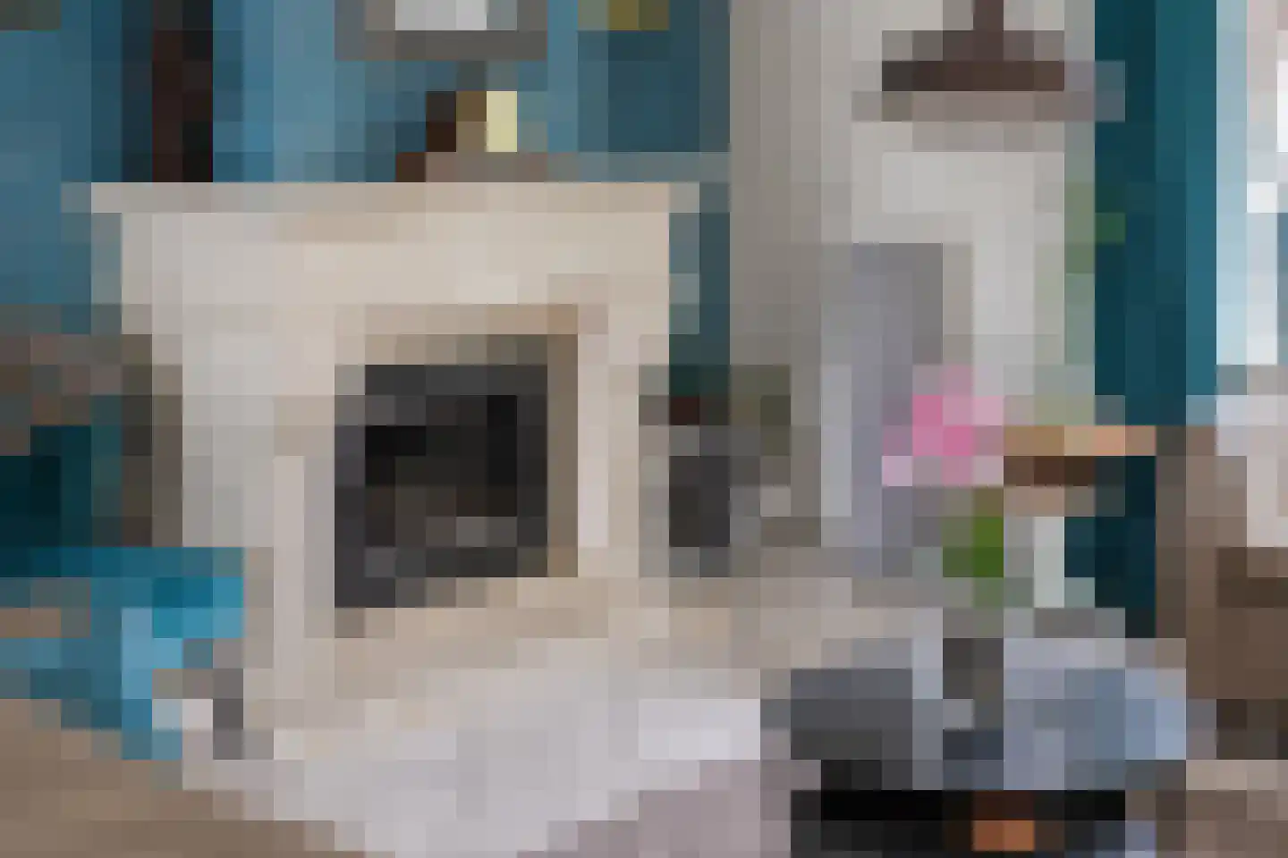 Geerhuizen 4 Doesburg thumbnail 13