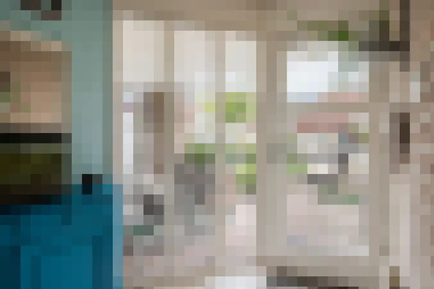 Geerhuizen 4 Doesburg thumbnail 14