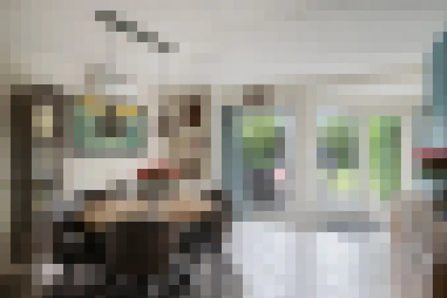 Geerhuizen 4 Doesburg thumbnail 15