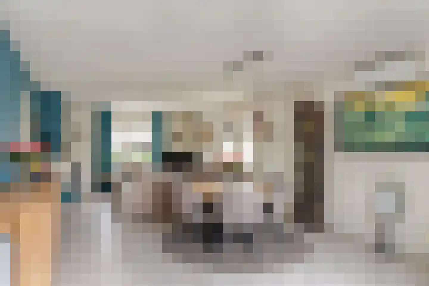 Geerhuizen 4 Doesburg thumbnail 16