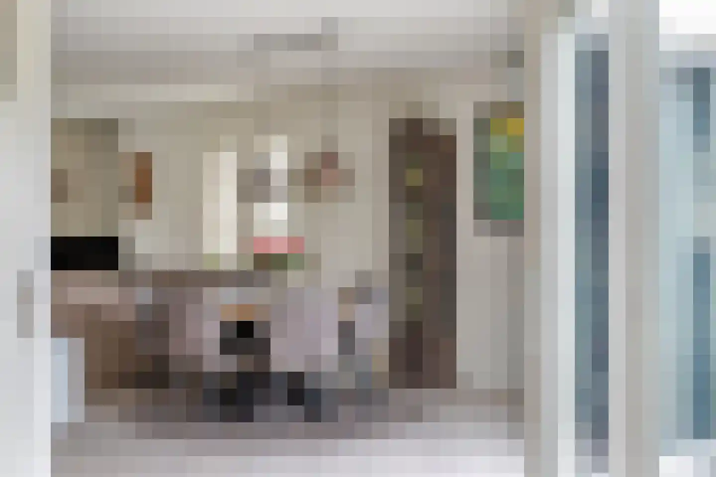 Geerhuizen 4 Doesburg thumbnail 17