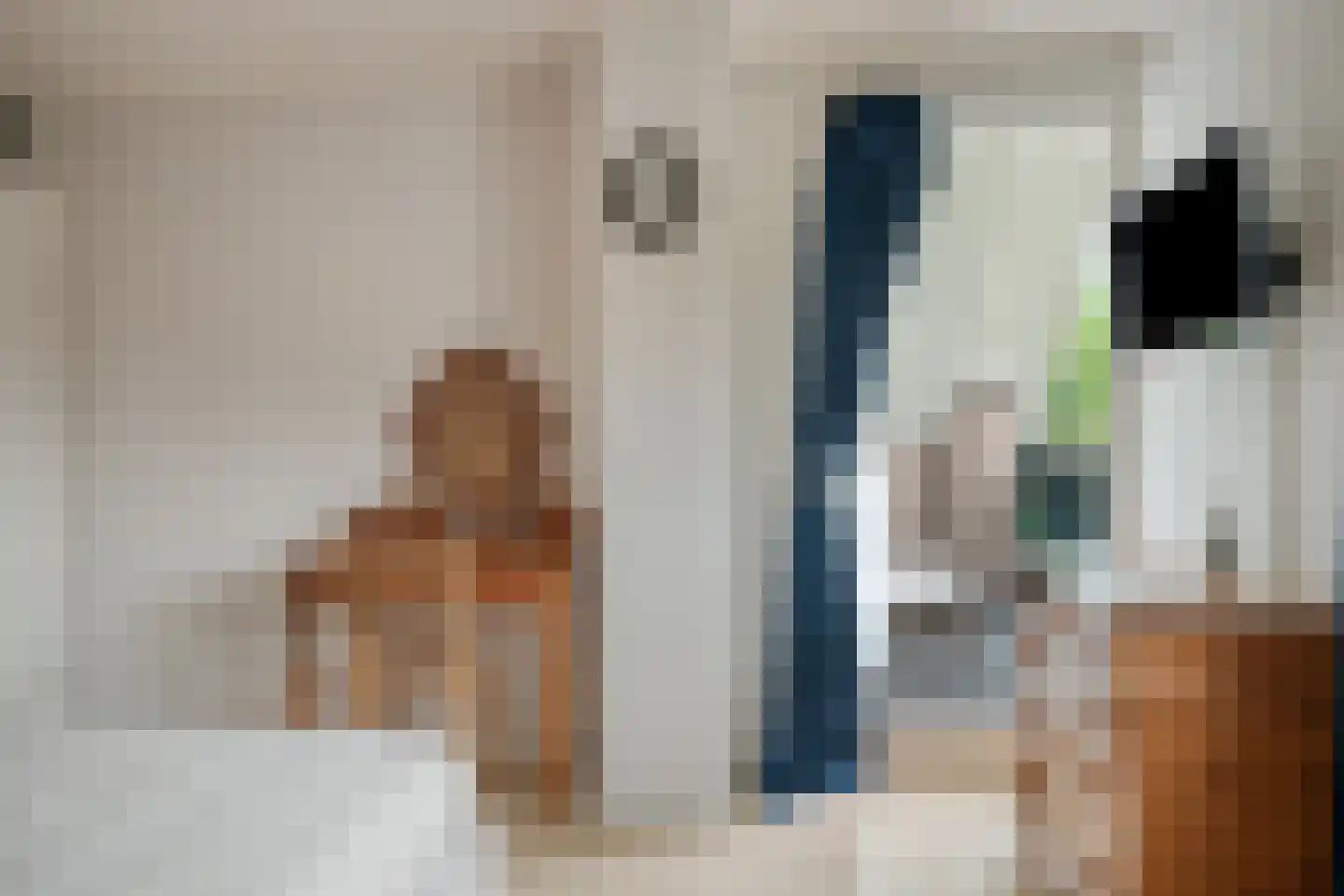 Geerhuizen 4 Doesburg thumbnail 34