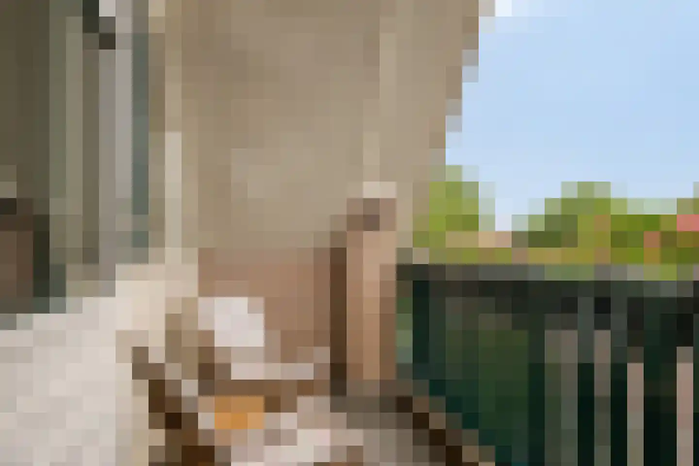 Geerhuizen 4 Doesburg thumbnail 37