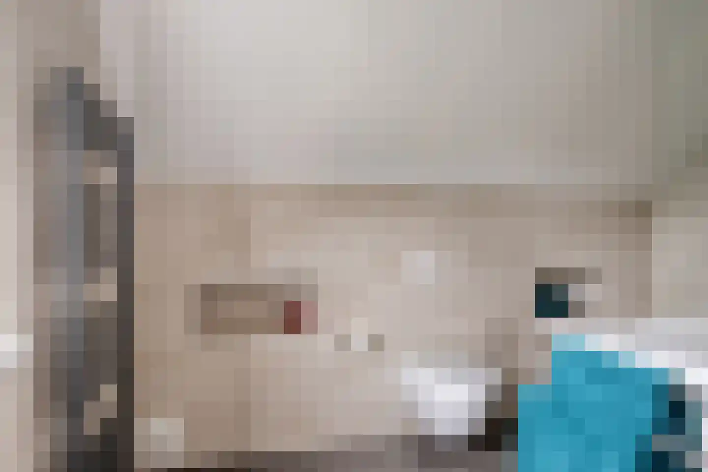 Geerhuizen 4 Doesburg thumbnail 40
