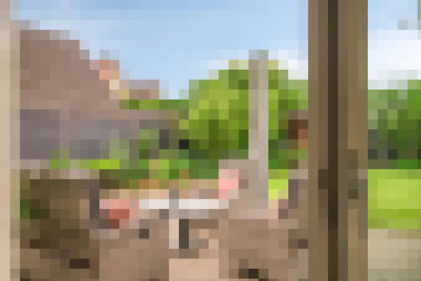 Geerhuizen 4 Doesburg thumbnail 47