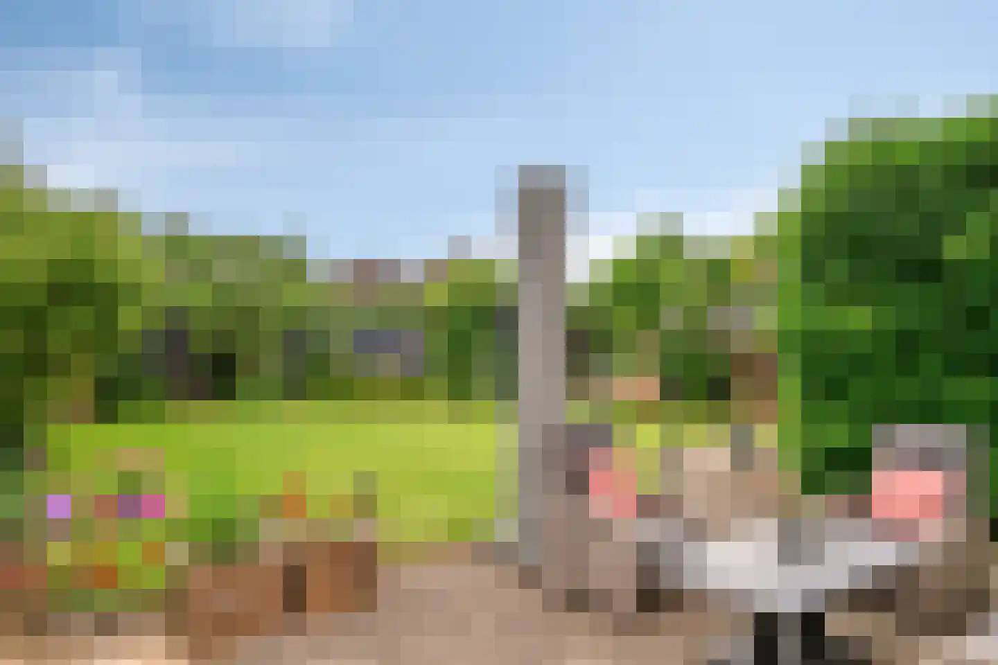 Geerhuizen 4 Doesburg thumbnail 48
