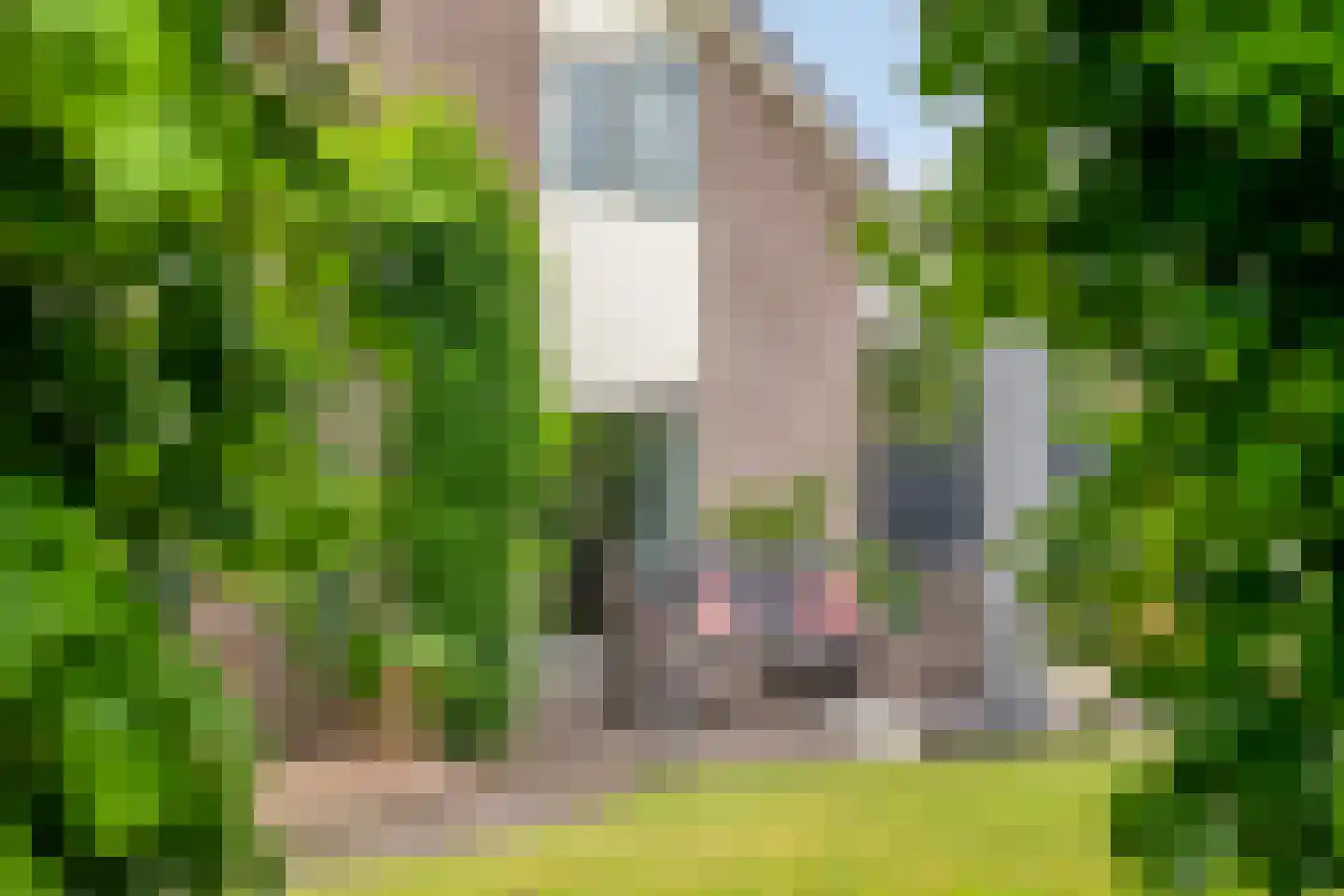 Geerhuizen 4 Doesburg thumbnail 49