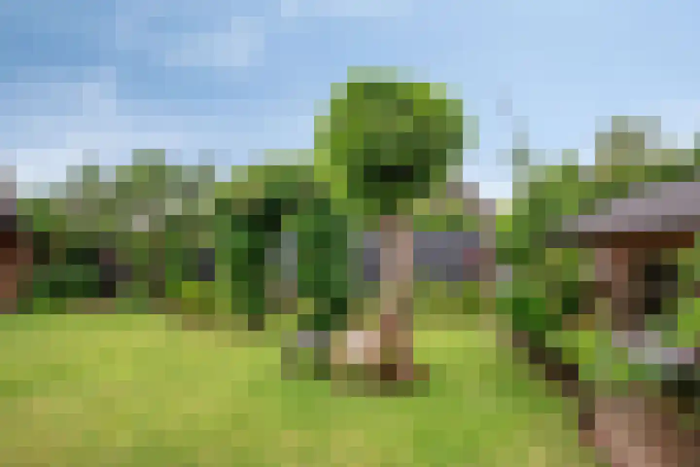 Geerhuizen 4 Doesburg thumbnail 51