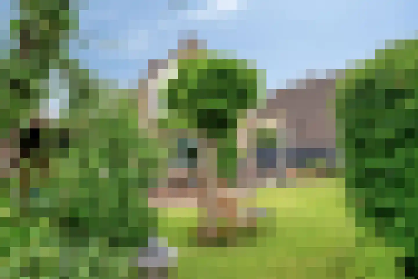 Geerhuizen 4 Doesburg thumbnail 52