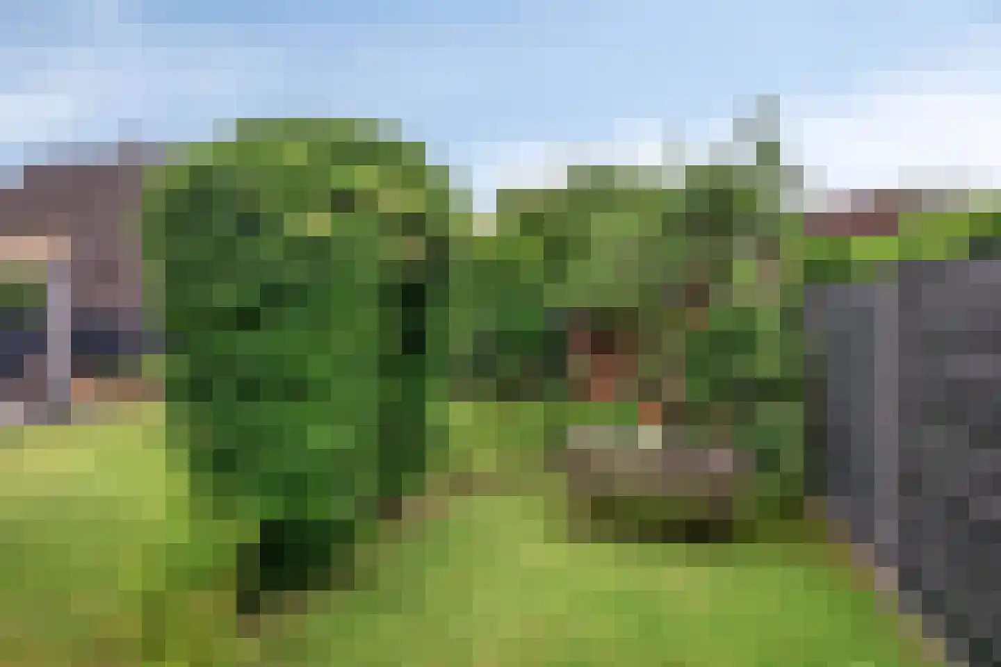 Geerhuizen 4 Doesburg thumbnail 53