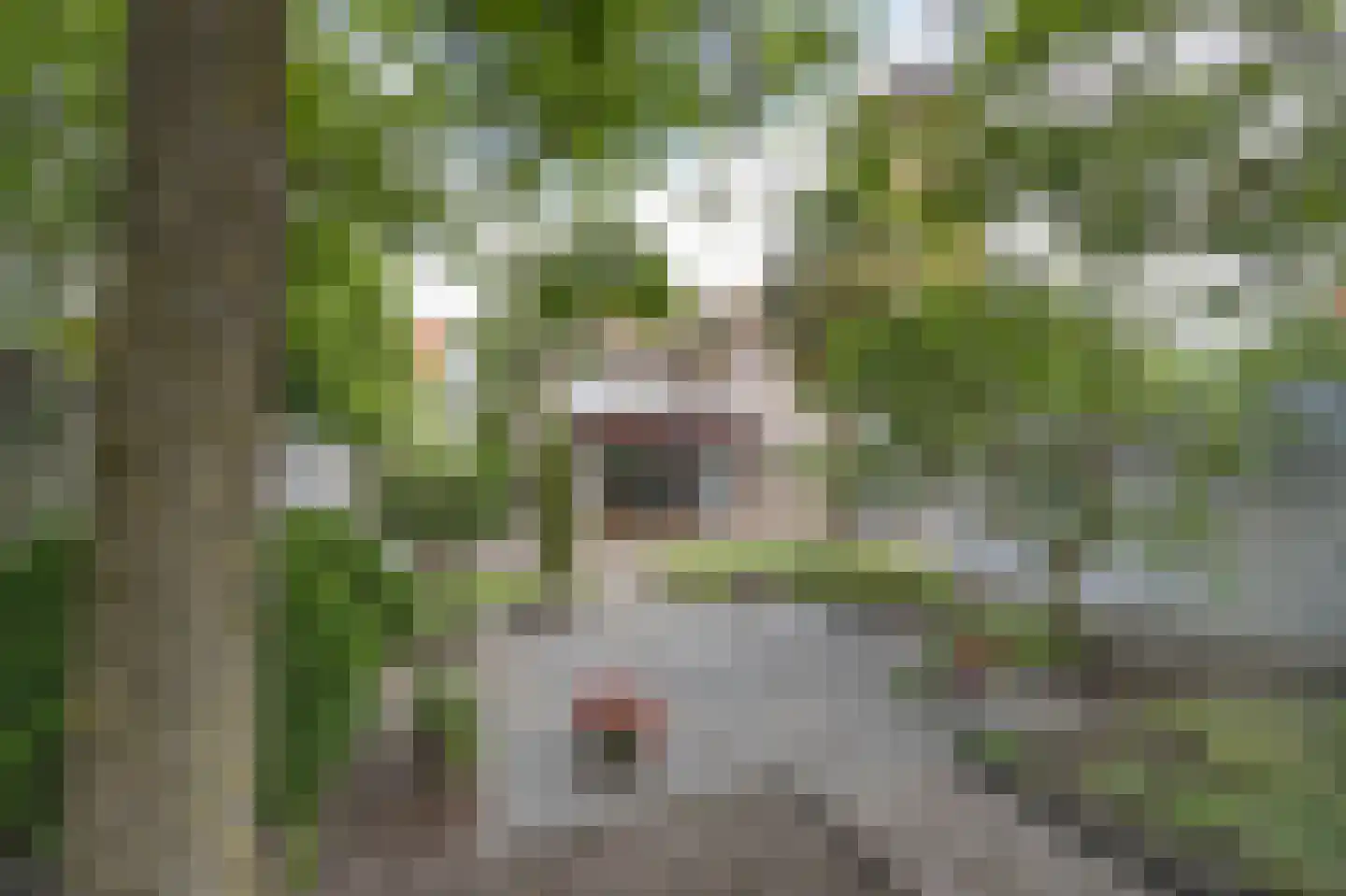 Geerkade 47 Etten-Leur thumbnail 4