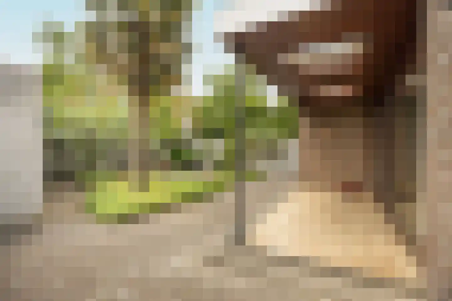 Geerkade 47 Etten-Leur thumbnail 40