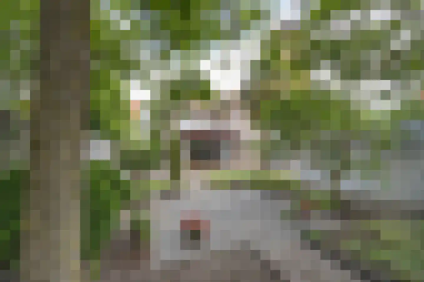 Geerkade 47 Etten-Leur thumbnail 43