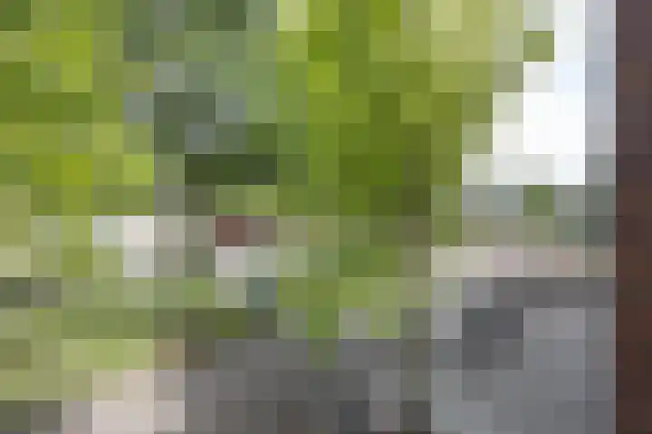 Geerkade 5 G Etten-Leur thumbnail 28