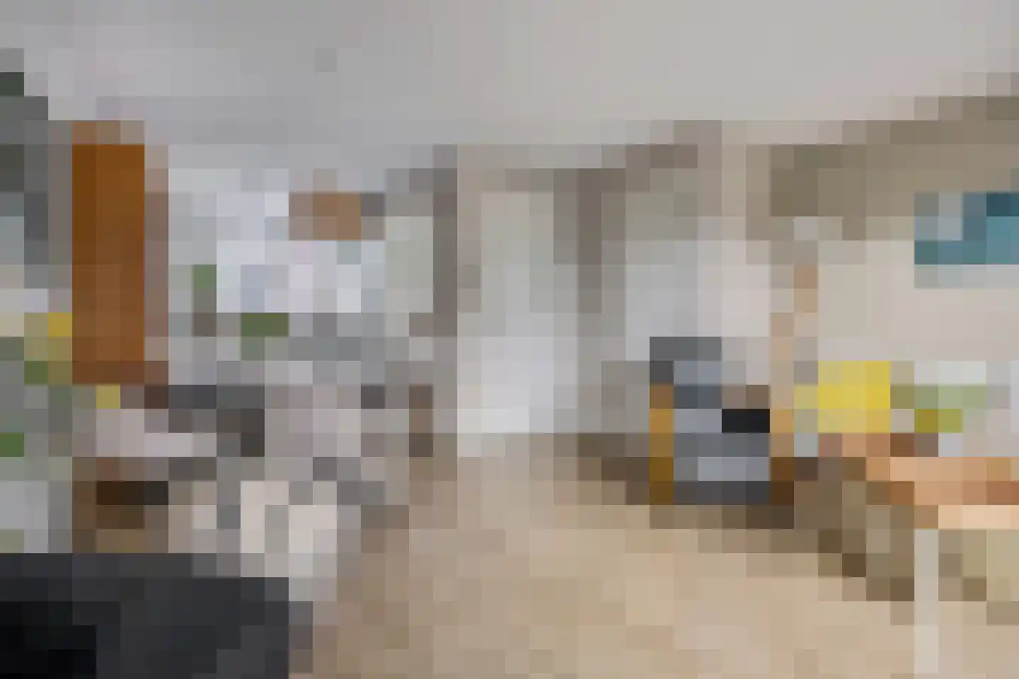 Geerkampen 5 Bunschoten-Spakenburg thumbnail 11
