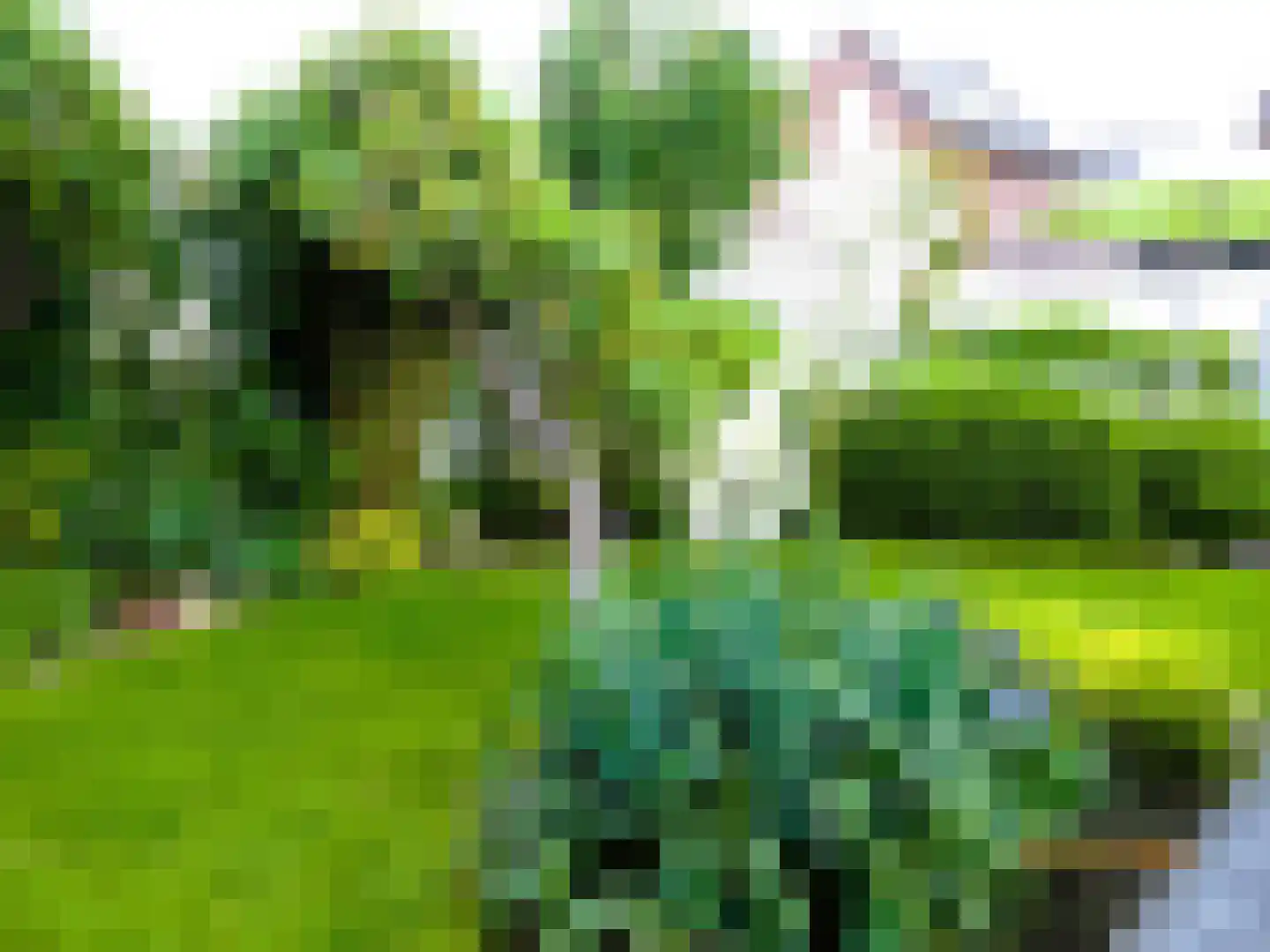 Geerkampen 5 Bunschoten-Spakenburg thumbnail 26