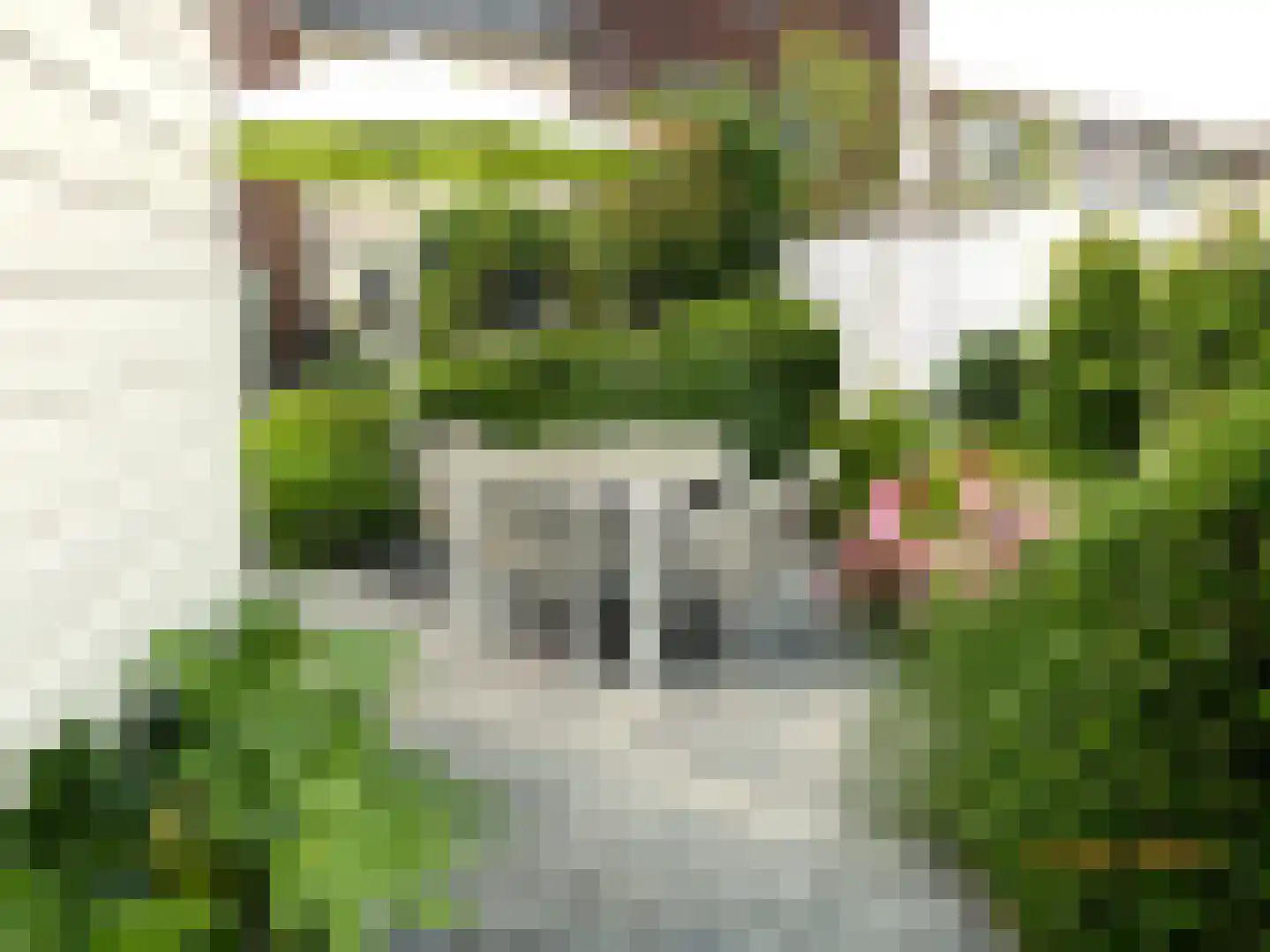 Geerkampen 5 Bunschoten-Spakenburg thumbnail 29