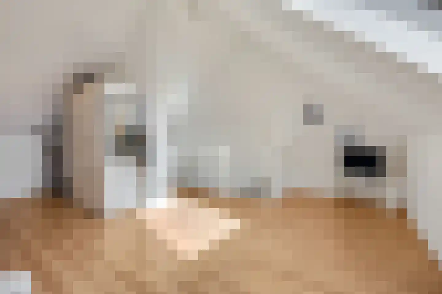 Geerkampen 5 Bunschoten-Spakenburg thumbnail 42